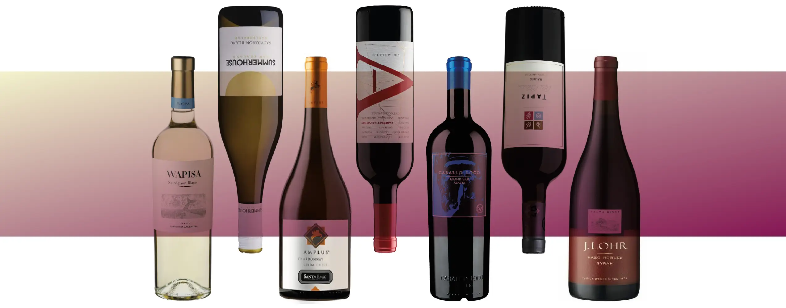 Club de Vinos del Nuevo Mundo