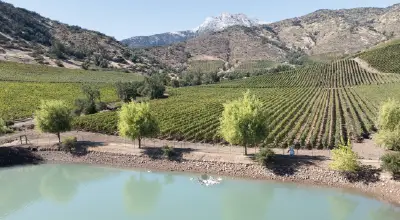Bodega Santa Ema