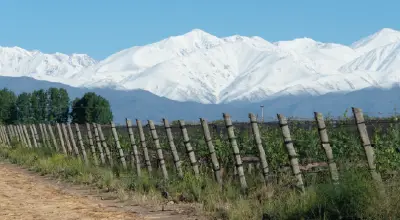 Fincas Patagónicas