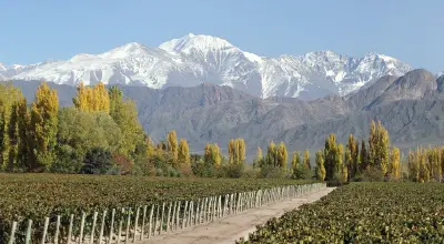 Terrazas de los Andes