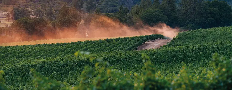 Nueva Zelanda: Sauvignon Blanc y más allá