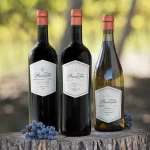 Vinos Pascual Toso
