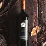 Amplus Carignan