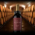 Pascual Toso Estate Malbec