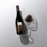 J.Lohr South Ridge Syrah
