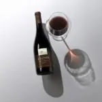 J.Lohr South Ridge Syrah