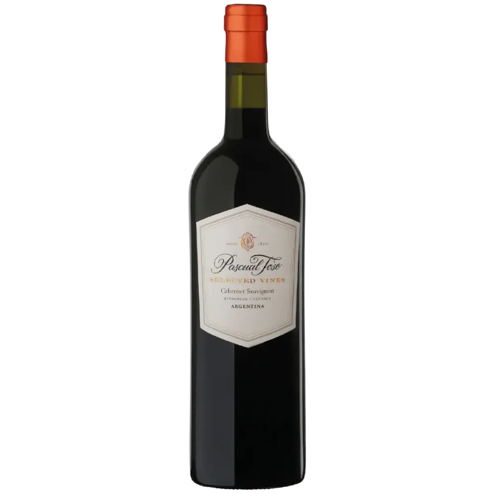 Botella Selected Vines Cabernet Sauvignon
