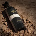 Séptima Gran Reserva Cabernet Sauvignon Malbec