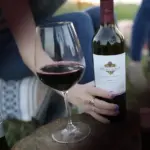 Kendall-jackson Wine Estate & Gardens Vintner's Reserve Zinfandel