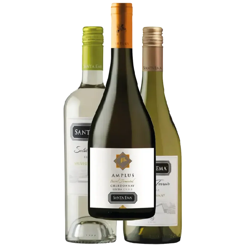 Pack de botellas de vino blanco de Chile