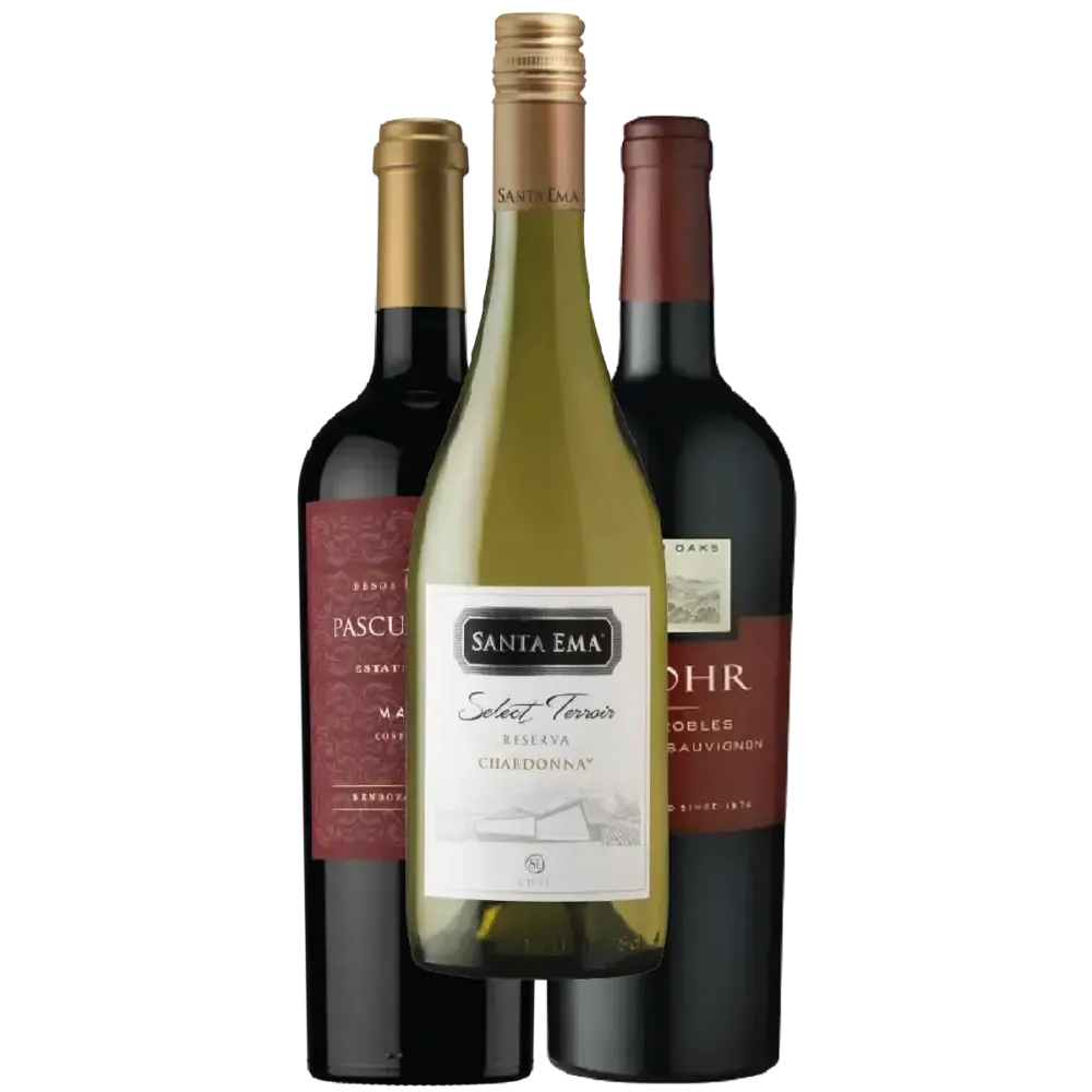 Pack de botellas de vino para hacer una barbacoa