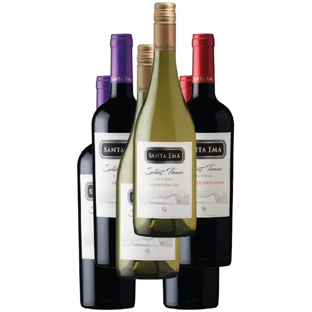 Pack de vinos Santa Ema reserva