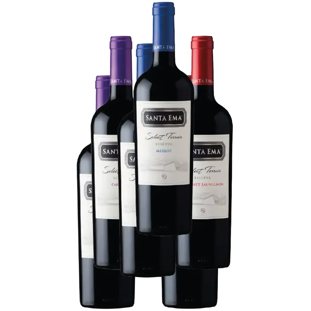 Pack de vinos Santa Ema reserva