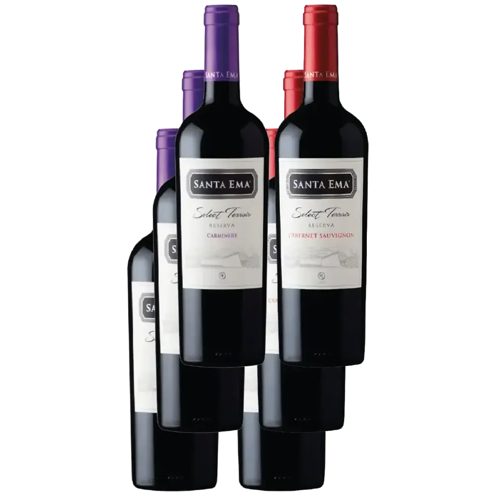 Pack de vinos Santa Ema reserva