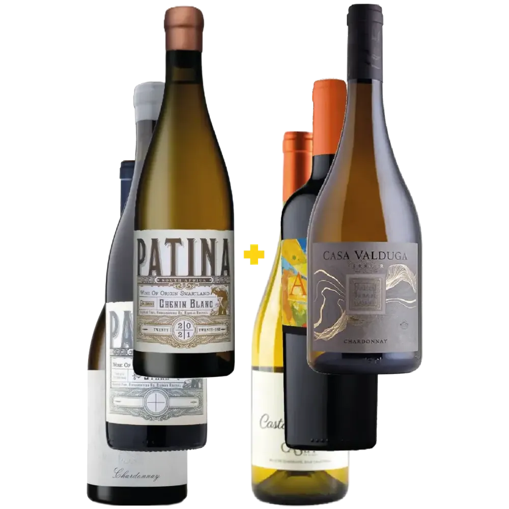 Sudáfrica & América del Sur