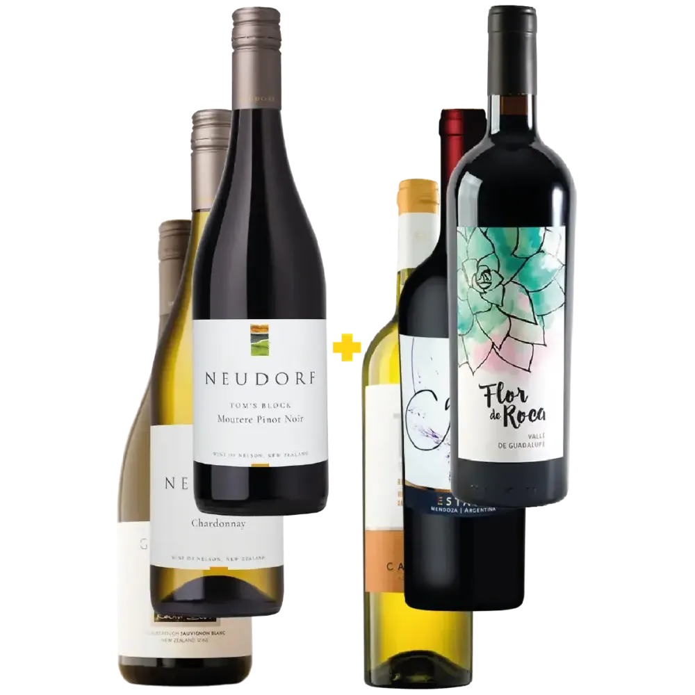 Nueva Zelanda & América